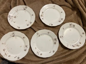 John Maddock Sons Royal Vitreous England Set Teller Untertassen Floral VINTAGE RAR - Bild 1 von 20