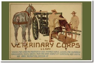 Veterinary Corps - US Army World War I Vintage Kunstdruck POSTER - Bild 1 von 1