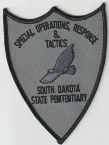 South Dakota State Pen SORT patch non shield shape patch from Australia - Picture 1 of 1