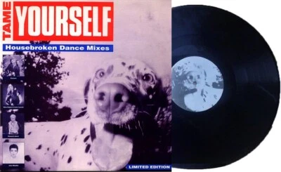 ERASURE 12" Tame Yourself USA 6 Trk PROMO ONLY Jane Wiedlin Go-Go's Howard Jones Foto 1 de 4