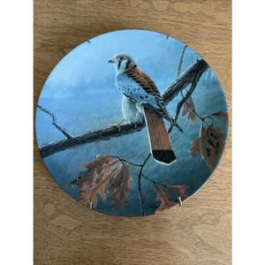 Edwin M. Knowles Sammelteller "The American Kestrel" von Daniel Smith #3029A - Bild 1 von 3