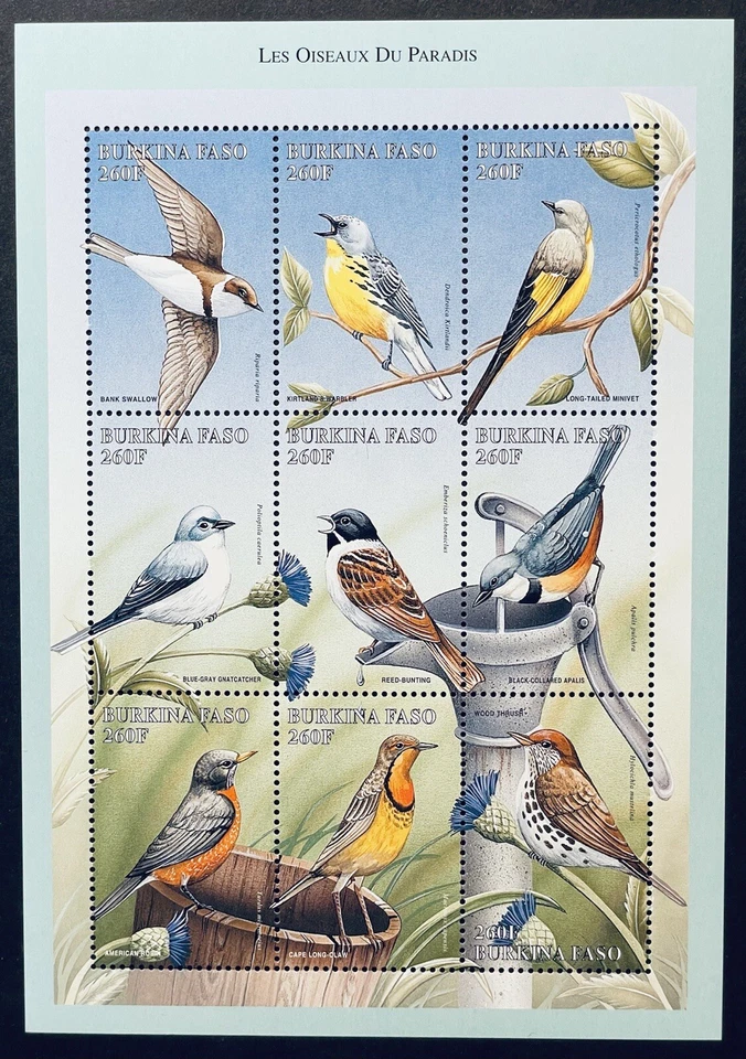 FOLHA DE SELOS DE PÁSSAROS BURKINA FAS0 DE 9 1998 MNH VIDA SELVAGEM ANDORINHA WARBLER ROBIN 1 - Imagem 1 de 1