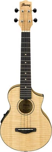 Ibanez UEW12E Flame Maple Acoustic-Electric Concert Ukulele, New! - Picture 1 of 5