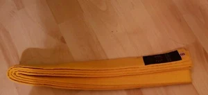 Brand New Taekwondo Karate Double Wrap Professional Martial Arts Yellow Size 6 - Picture 1 of 3
