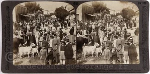 Grèce.Greece.Sparta Market.Marché.Sparte.Villagers.Photo Stereo.Stereoview.Under - Picture 1 of 3