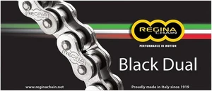 Regina 525 ZRA Black Dual Series Z-Ring Chain 110 Links - Picture 1 of 1