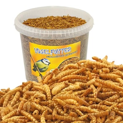 Vogelfutter 5 Liter Mehlwürmer getrocknet im Eimer Vögel Wildvogelfutter Nager