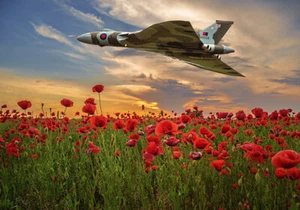 Avro Vulcan XH558 over poppy Field canvas prints various sizes - Picture 1 of 1