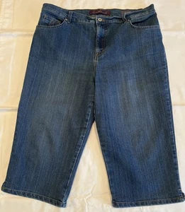 Gloria Vanderbilt Amanda Skimmer Petite Size 16 P - Picture 1 of 4