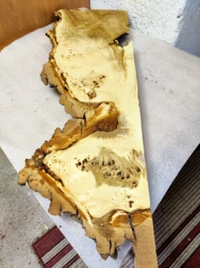 Pappel Maser Bohle 104 x 34- 20 x 5 cm  Epoxidharz Poplar burl K 53 - Bild 1 von 10