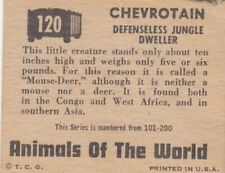 TOPPS (1951) ANIMALS OF THE WORLD - #120 Chevrotain