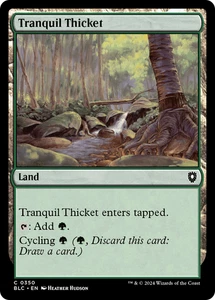 Tranquil Thicket #350 | Near Mint | BLC Bloomburrow Commander Magic MTG - Picture 1 of 1