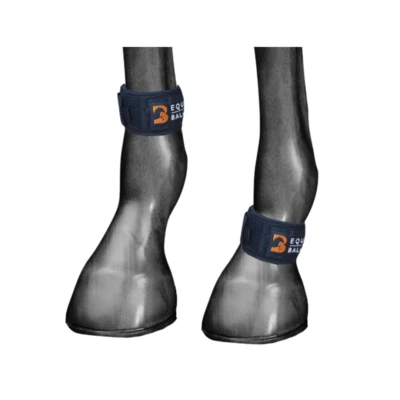 Magnetische Pastern Wraps - Bild 1 von 4