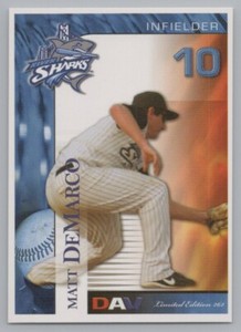 Matt DeMarco 2007 DAV Camden Riversharks Atlantic League Baseball Card
