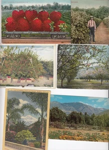 1917 Gardena Strawberry Festival, 1911 Loganberry Ranch, 6 Postcard - Item #8039 - Picture 1 of 12