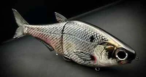 PREMIUM CUSTOM HINKLE SHAD CLONE GIZZARD SHAD SWIMBAIT - EBAY'S #1 HINK STYLE 🔥 - Picture 1 of 5