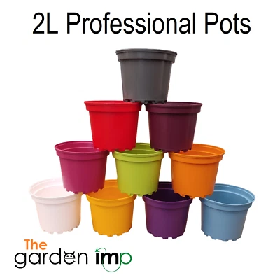THE GARDEN IMP 20 x 2L Coloured Plastic Plant Pots Round Pot Bright Strong Commercial Litre