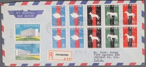 MayfairStamps Surinam 1965 Pares de Protección Animal Paramaribo Registrados en Chi - Imagen 1 de 2