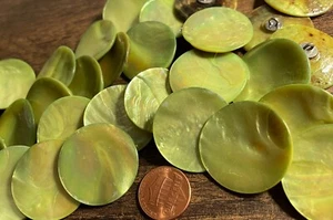 6 Large Curved Dyed Lime Green Abalone Shell Shank Buttons 30mm 1 3/16" 12878 - Picture 1 of 7