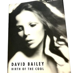 David Bailey Hardbound book of Photography Birth of the Cool by Martin Harrison - Picture 1 of 7