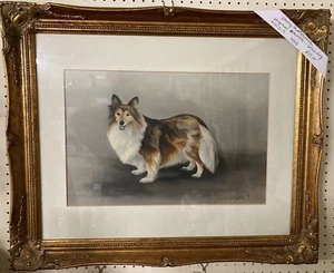 Sheltie Dog Original Artwork By Emily Charlesworth - Picture 1 of 3