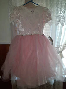 NICOLE DORISSA International Pink Party Dress Size 12 Girl NWT - Picture 1 of 12