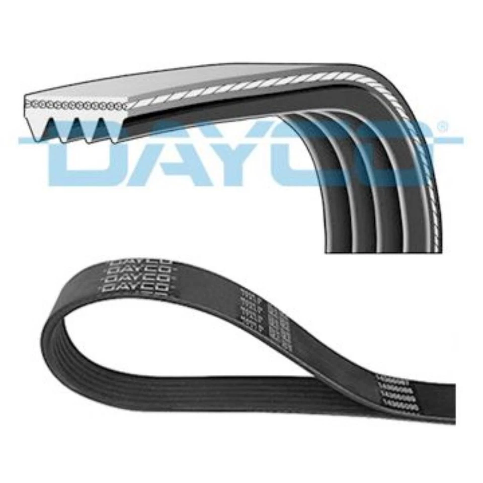 DAYCO Courroie Trapézoïdiale Convient pour BMW 7er 745d - Photo 1/1