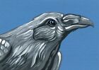 ACEO ATC Original Miniature Painting Crow Bird Spirit Raven Wildlife Art -Smale