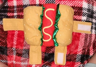 Disfraz de perrito caliente XXS Foto 1 de 4