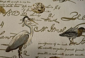Vogelgezwitscher Seamist Culp Stoff - Bild 1 von 4