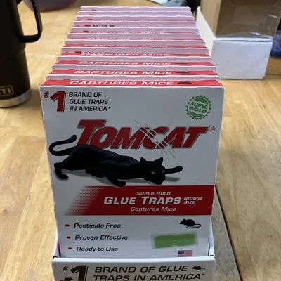 Lote de 12 trampas de pegamento Tomcat Super Hold tamaño ratón Foto 1 de 3
