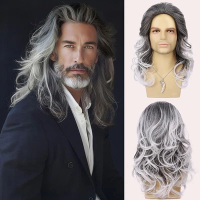 Mens Grey Wig Long Curly Wavy Hair Wigs Natural Look Heat Resistant Synthetic Re - Image 1 of 4