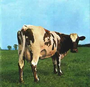 CD Pink Floyd Atom Heart Mother EMI - Picture 1 of 1
