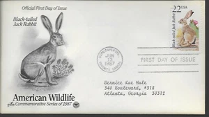 Black-tailed Jack Rabbit--American Wildlife-1st day issue-1987 - Picture 1 of 1