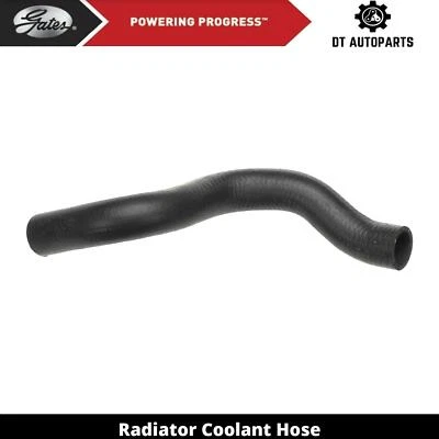 Para 1995-2000 Dodge Stratus 2.4L L4 GAS radiador líquido de arrefecimento mangueira portões inferiores 1996 - Imagem 1 de 4