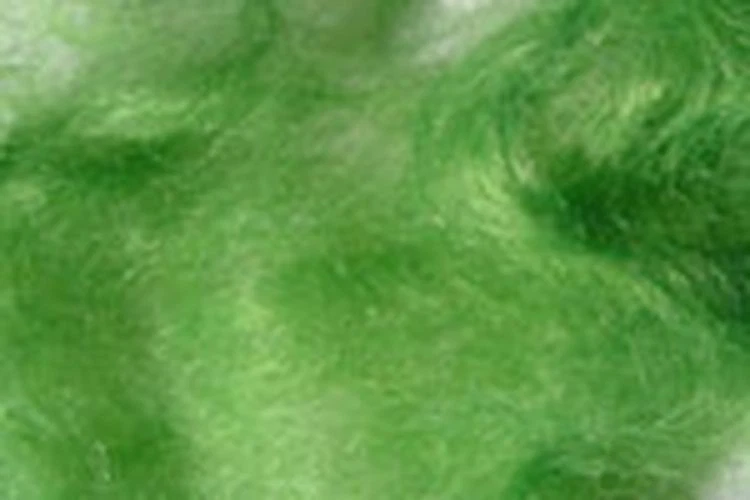 2x1g Poil MOHAIR dubbing VERT HIGHLANDER montage fly tying - Photo 1/1