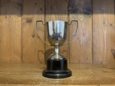  NOT ENGRAVED vintage small silver plate trophy, loving cup, trophies, trophy — 第 1/2 张图片