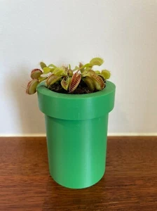 Mario Pipe Planter - Picture 1 of 5