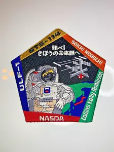 NASA STS-114 Mission Crew Patch JAPANESE NASDA NOGUCHI - Picture 1 of 2