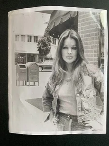 PRISCILLA PRESLEY - Rare Original Press Photo - Picture 1 of 2