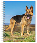 Browntrout German Shepherds 2024 6 x 7.75 Inch Engagement Planner w