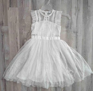 Trish Skully Antique White Lace Tulle Flower Girl Dress, Size 6 (k7) - Picture 1 of 8