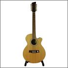 Peter Green Owned Brunswick Electro Acoustic Guitar (UK)