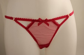 Agent Provocateur ~ FIA ~ ouvert pink mesh thong BNWT AP 2 UK 8