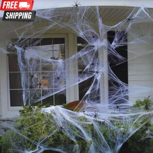 20gm Spider Web Halloween Decoration with Fake Spider for Indoor & Outdoor Party - Picture 1 of 15