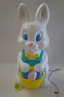 Easter Bunny Blowmold Boy Basket Of Eggs Rabbit Plastic 18.5" Lights Up Vintage?