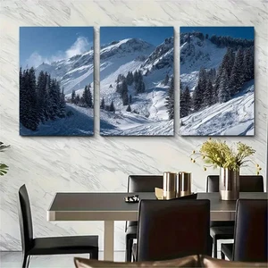 3pcs Ivories Ski Mountain Décor Perfect Wall Art Canvas Unframed/Framed - Picture 1 of 9