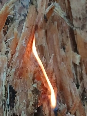 2 Pfund Fatwood Zunder Feuerstarter Camping Smoker Grill Kamin - FRISCHER SCHNITT! 🇺🇸 - Bild 1 von 4