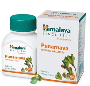 Himalaya HERBAL Punarnava Tabs Soporta Sistema Urinario 1 Caja ENVÍO GRATIS E... - Bild 1 von 7
