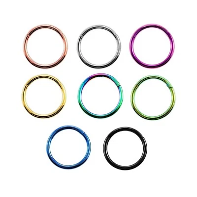 Titanium Hinged Segment Nose Ring Clicker Septum Lip Ear Earring Cartilage Hoop - Image 1 of 4